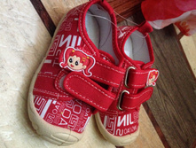 24 ������