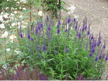 �������� ������������� ��������� 80