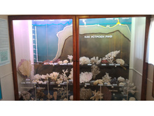 P 20160622 130853.jpg