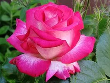 ��� �����.jpg