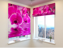 ������� �������.jpg