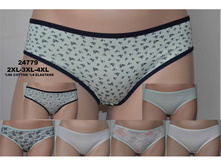 24779 2XL-3XL-4XL-800x600.jpg