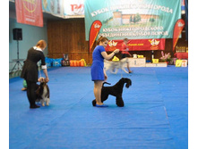 13435323 2063805220511253 3954955252640229777 n.jpg