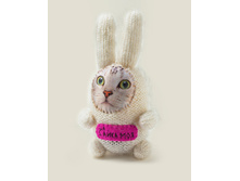 ������� ����� ���