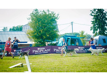 13775913 2086063178285457 6996951771627566379 n.jpg