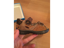 ������� �.19. ����������� ����. ����� ���������.