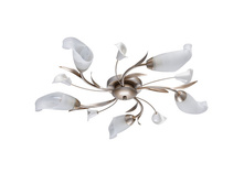 242016205 3500�.jpg