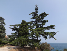 DSCF7527.JPG