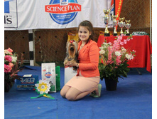 11855888 1897522287139548 4246146616983358875 n.jpg