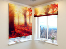 ������� ���.jpg