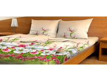 ��������� �����