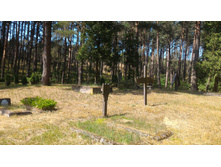 P 20160626 153334.jpg