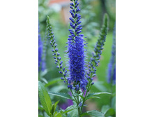 �������� ������������� ���������. 80