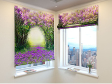 ��������� �������.jpg