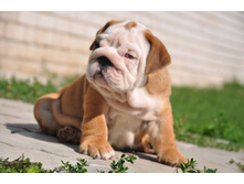 14045674 1096258517088038 3238151199452846872 n.jpg