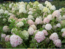 ��������� ������ (������ 3�) 360���..jpg