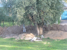 ������ 853.jpg