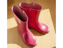 ������ ��������� 300 �