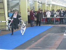 IMG 20160811 174337 48.jpg