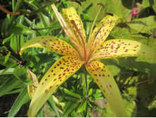 ����� 030.jpg