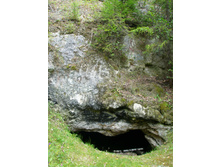 ������ �� ��� �������