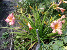 �������� ������� ������� (1).jpg