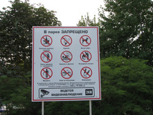 IMG 6567.JPG