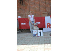 IMG 20160811 174516 83.jpg