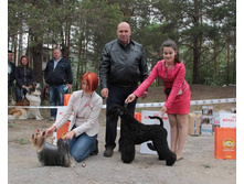 10985385 1849414498616994 6011961099918186233 n.jpg