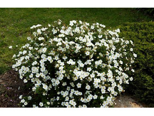 �������� ������������� �������� 90���. 1-�����.jpg