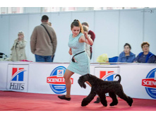 13177176 2039100282981747 5501285371369360715 n.jpg