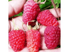 �������� 4�� 150�.png