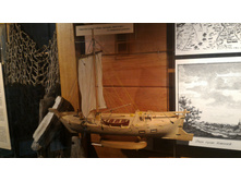 P 20160622 132442 DF.jpg