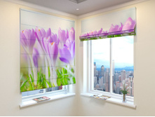 �������� �����.jpg