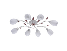 242016508 4220�.jpg