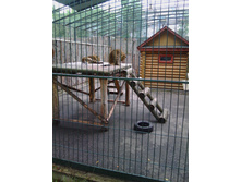 IMG 20160814 133532.jpg