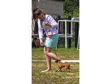 13423937 1652207218437738 1310326492788191094 n.jpg