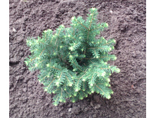 IMG 20160724 170518.jpg