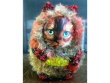 ����� �������