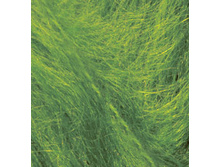 ������� ����� 210.jpg