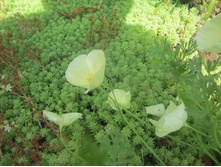 ����� 022.jpg