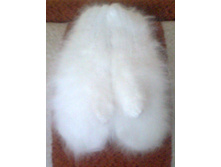 ������� ����� ������� �� 3-4 ����