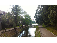 P 20160621 105353 HDR.jpg