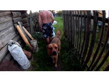 �������� ������