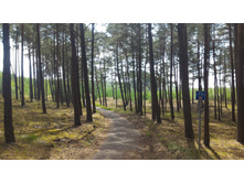 P 20160626 124857.jpg