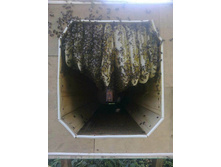 ������. ��� ������