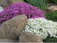 ����� ����������. 80