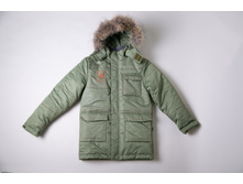 ������ ����