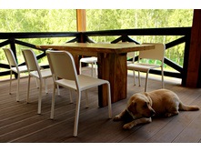 ���� ���������