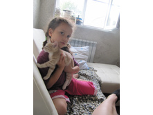 ������ 797.jpg